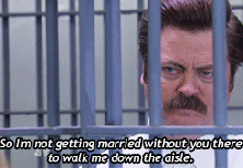 parks and rec gif - leslie and ron jail leslie's wedding